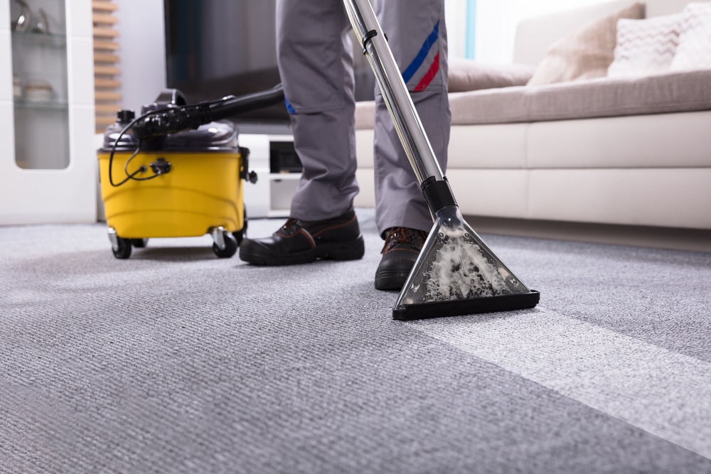 Professional carpet cleaning service in Lebanon NH