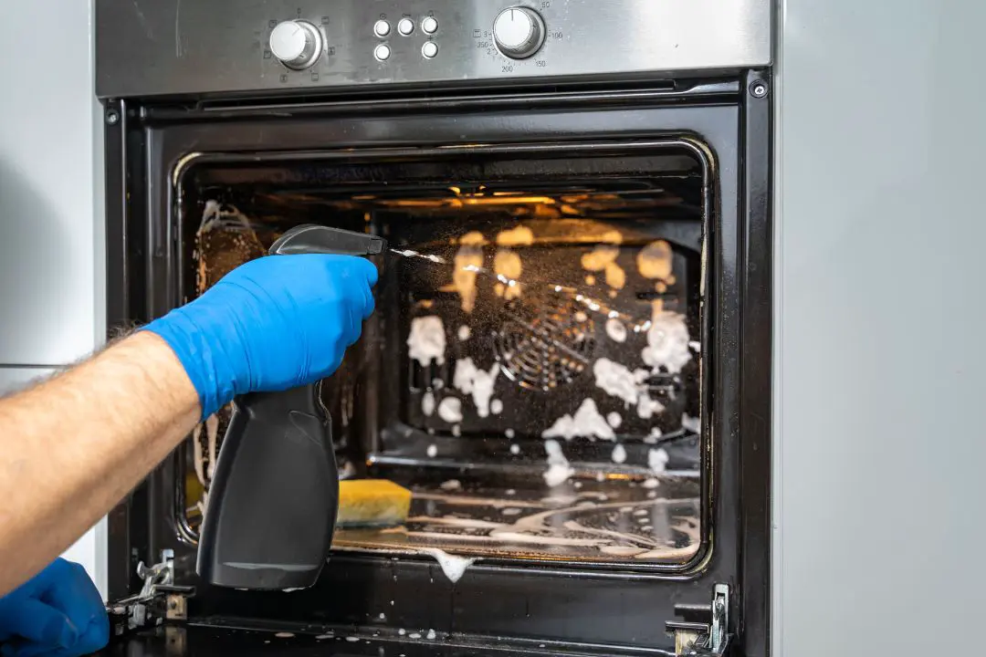 Professional deep cleaning of oven