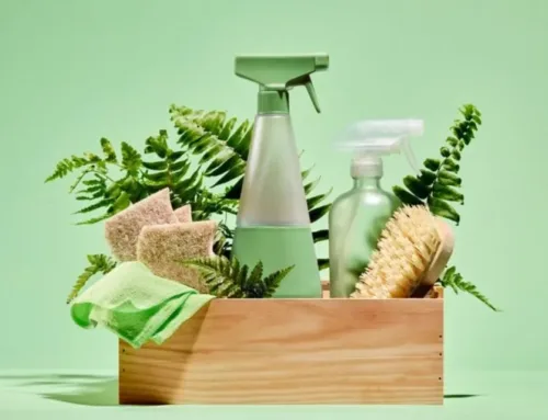 Eco-Friendly Cleaning Products: Safe for Families and Pets