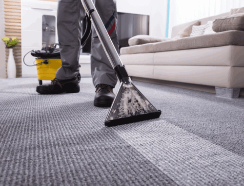 How to Choose a Carpet Cleaning Company in Lebanon, NH | Methods, Questions, Pricing