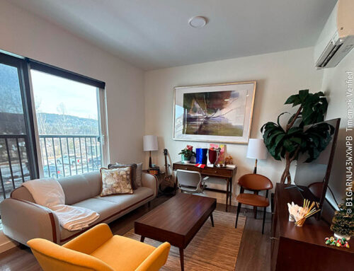 Professional Cleaning Services in Lebanon, NH: How to Stay Ahead